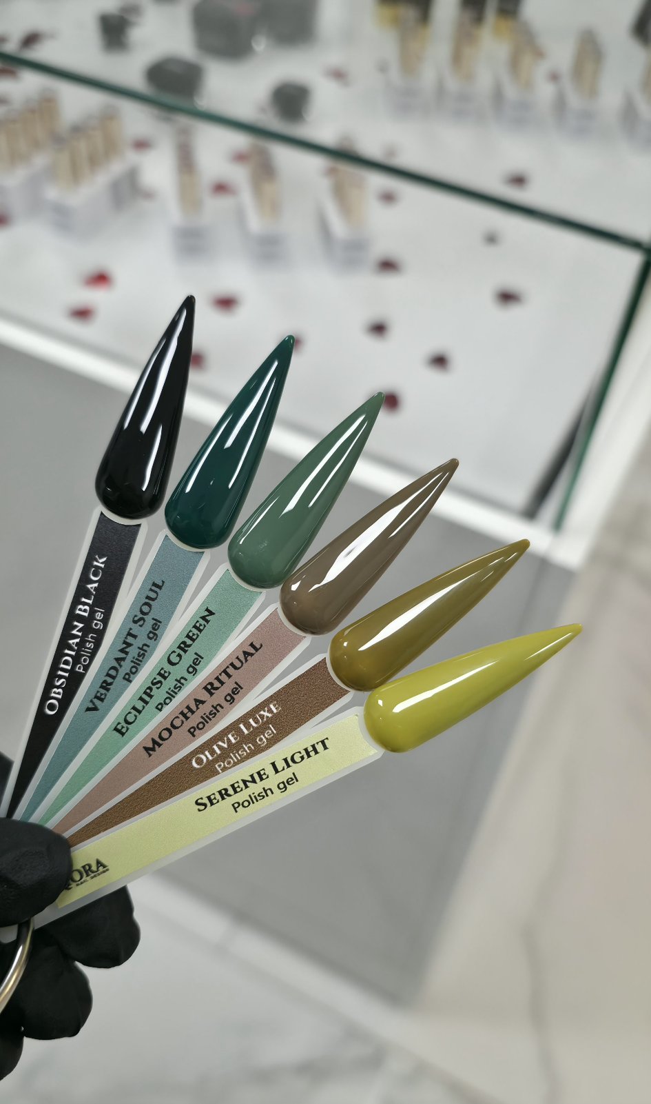 Terra Identity -Collection